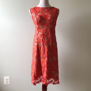 Floral lined sheath dress